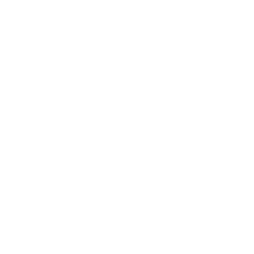 Spirit of Media