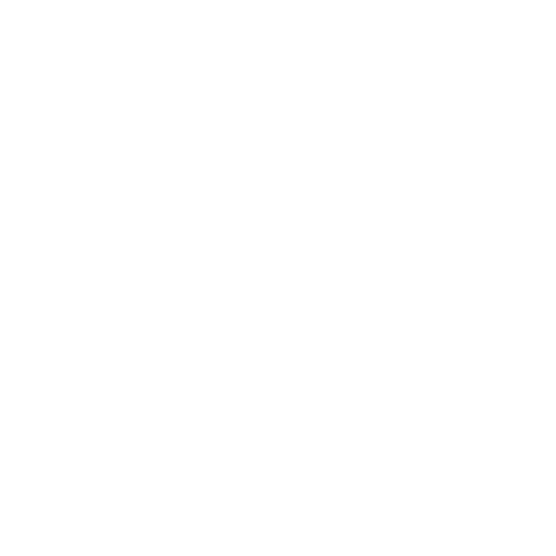 SAS Holding
